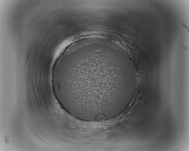 X0000100420006200806131109