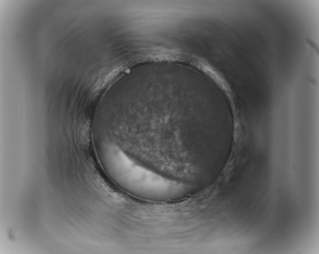 X0000100420009200806131109
