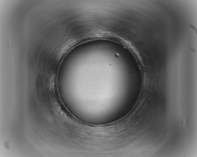 X0000100420010200806131109