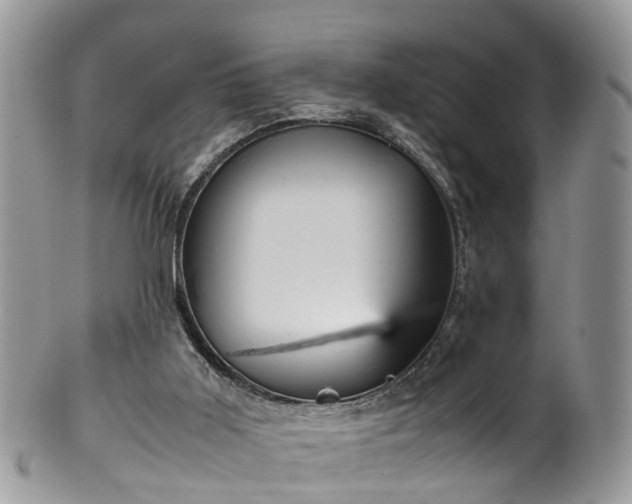 X0000100420011200806131109
