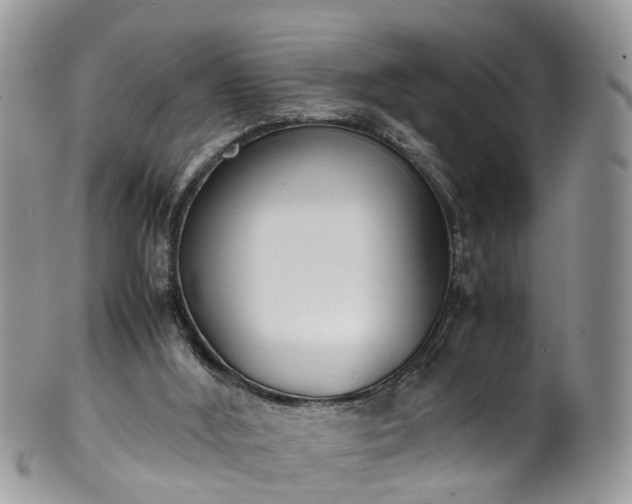 X0000100420012200806131109