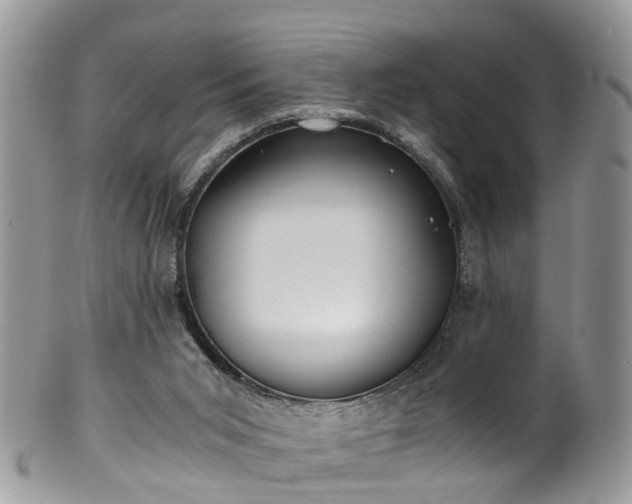 X0000100420015200806131109