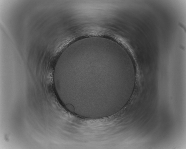 X0000100420017200806131108