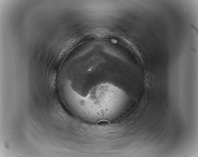 X0000100420018200806131108