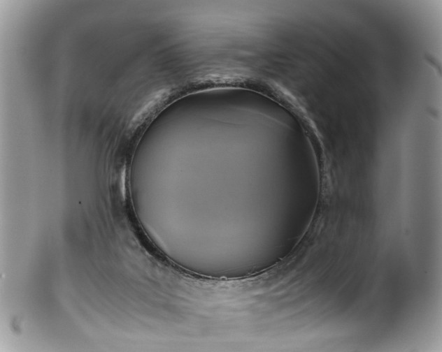 X0000100420019200806131108