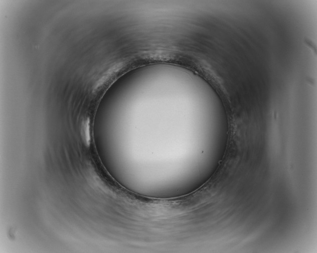 X0000100420020200806131108