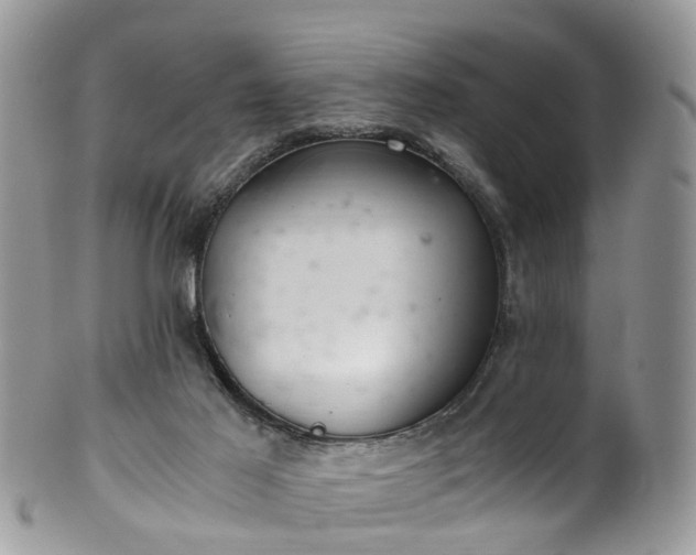 X0000100420021200806131108