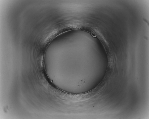 X0000100420023200806131108