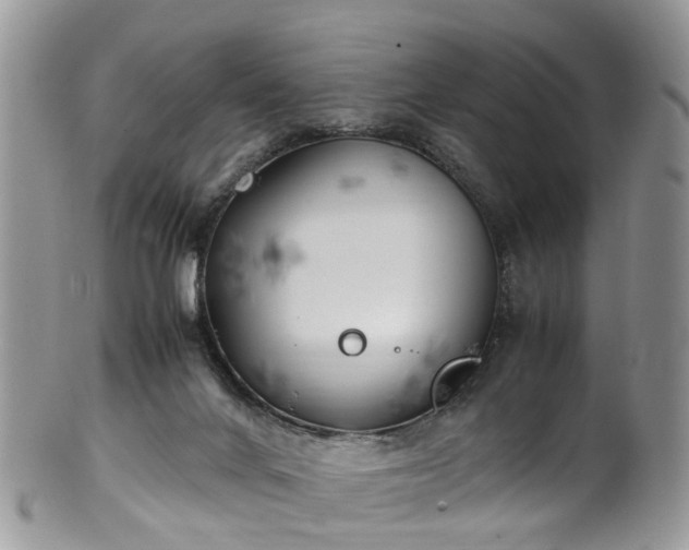 X0000100420024200806131108