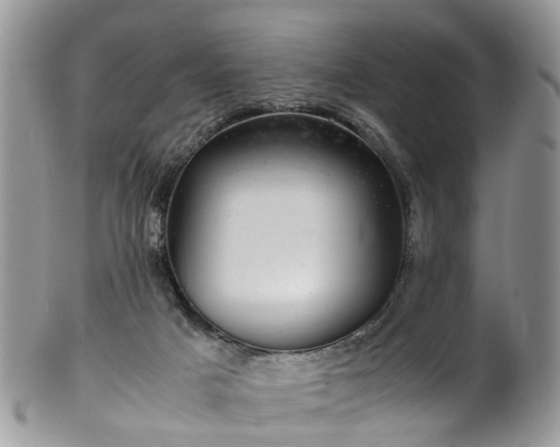 X0000100420025200806131108