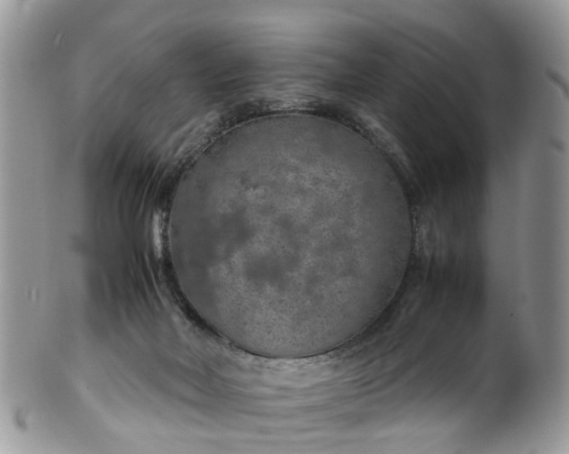 X0000100420026200806131108