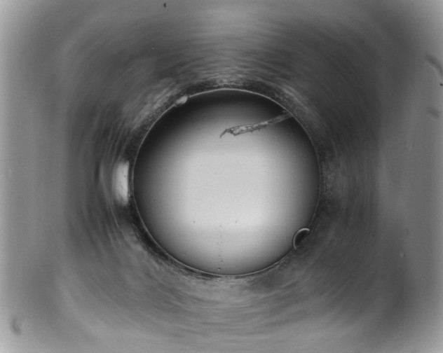 X0000100420028200806131108