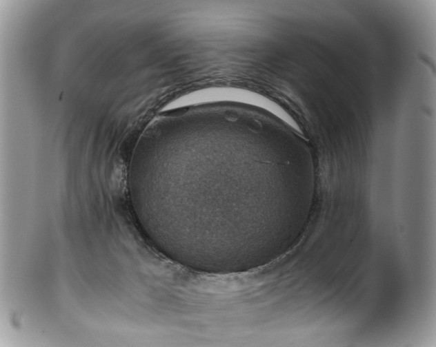 X0000100420029200806131108