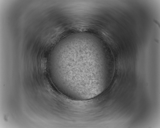 X0000100420030200806131108