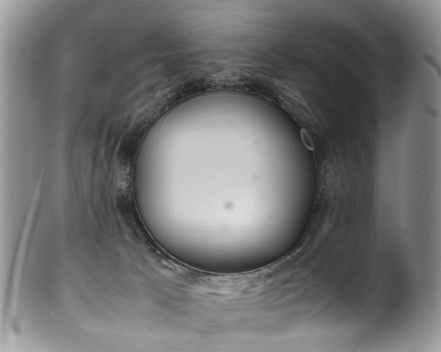X0000100420033200806131108