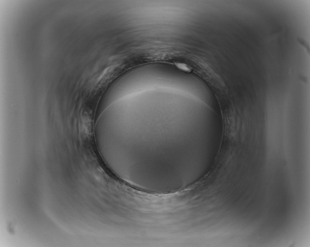 X0000100420035200806131108