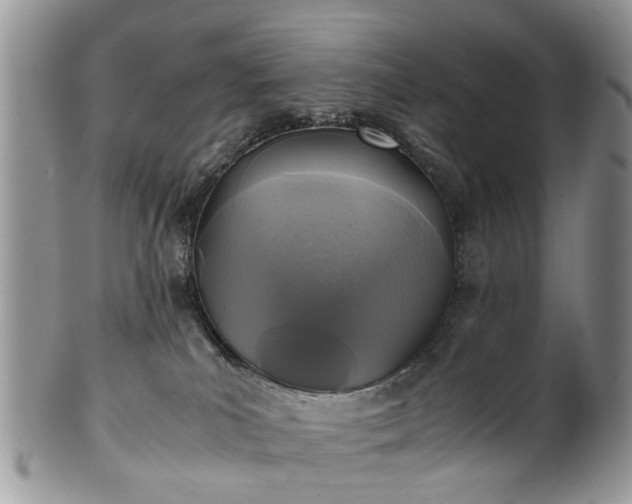 X0000100420039200806131108