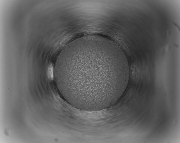 X0000100420042200806131108