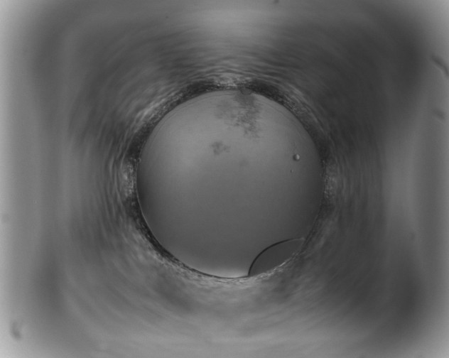 X0000100420043200806131108