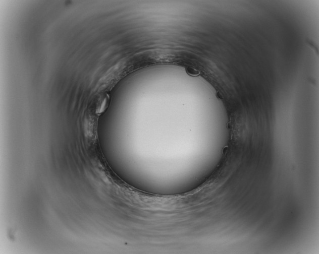 X0000100420044200806131108