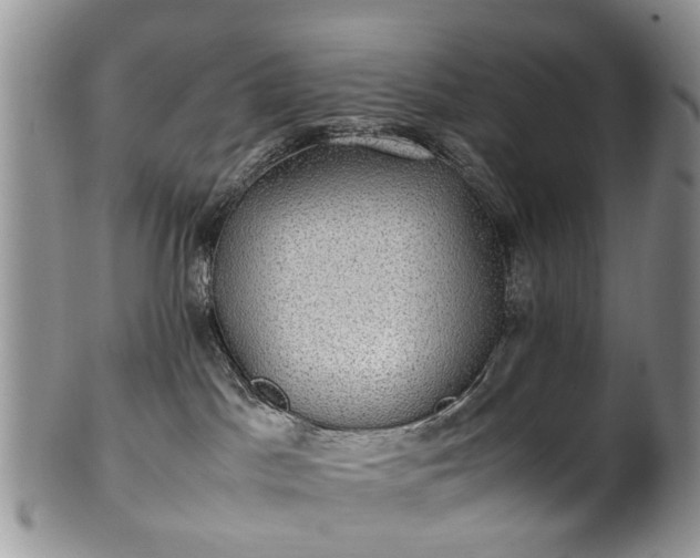 X0000100420045200806131108