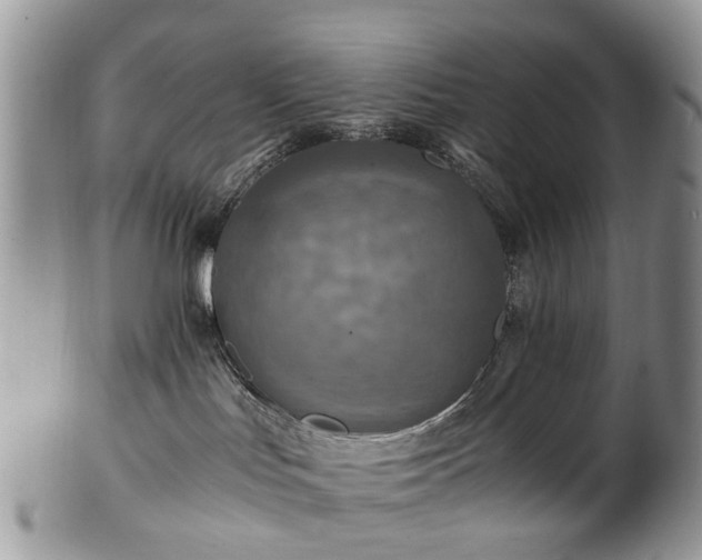 X0000100420047200806131108