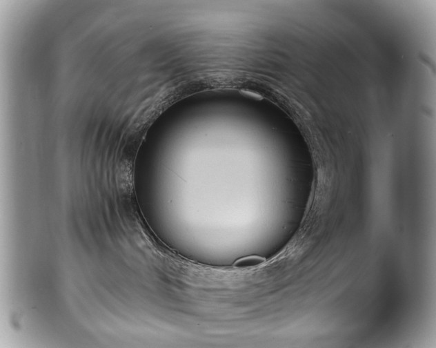 X0000100420048200806131108
