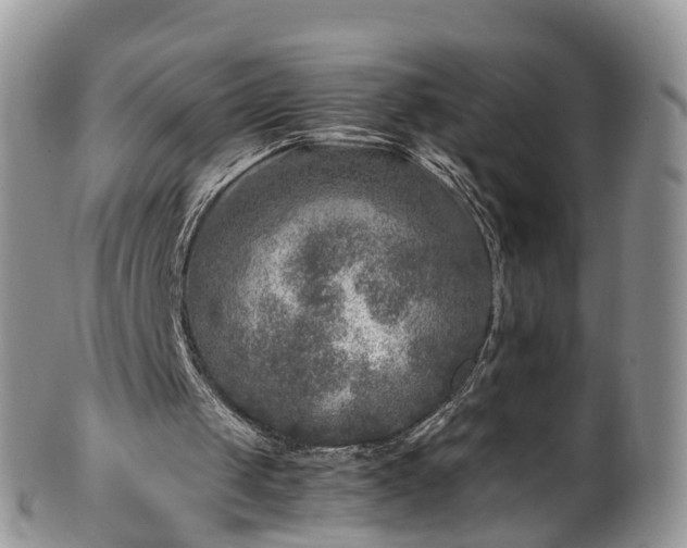 X0000100420049200806131107