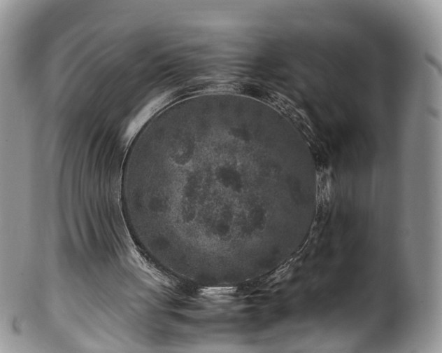 X0000100420051200806131107