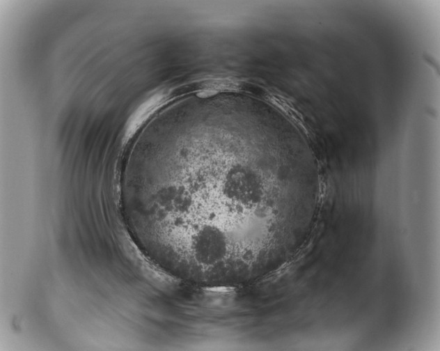 X0000100420053200806131107