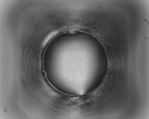X0000100420054200806131107