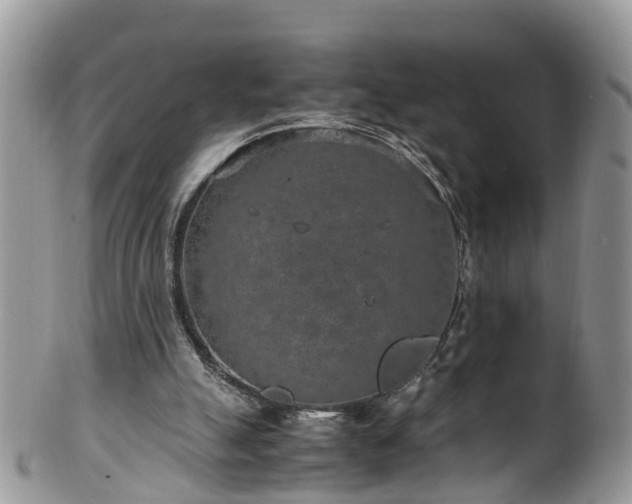 X0000100420055200806131107
