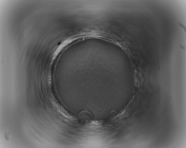 X0000100420056200806131108