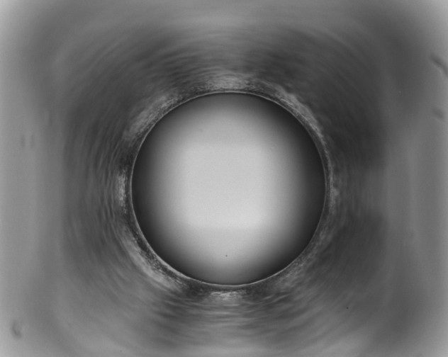 X0000100420057200806131108