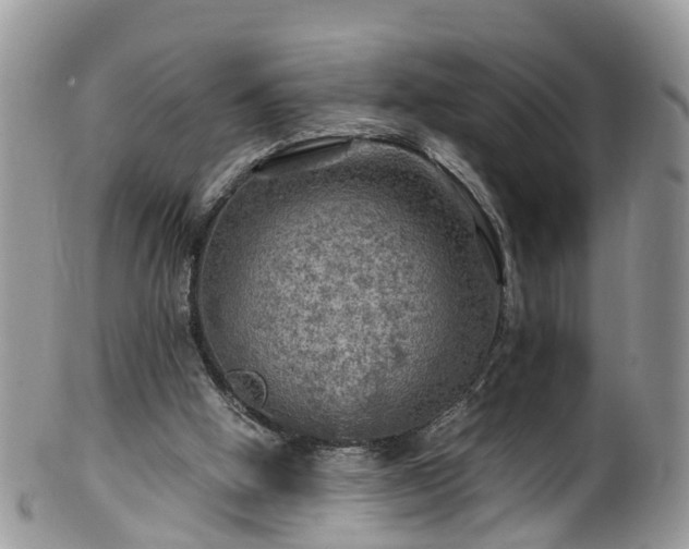 X0000100420058200806131108