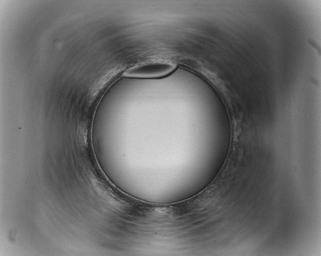 X0000100420060200806131108