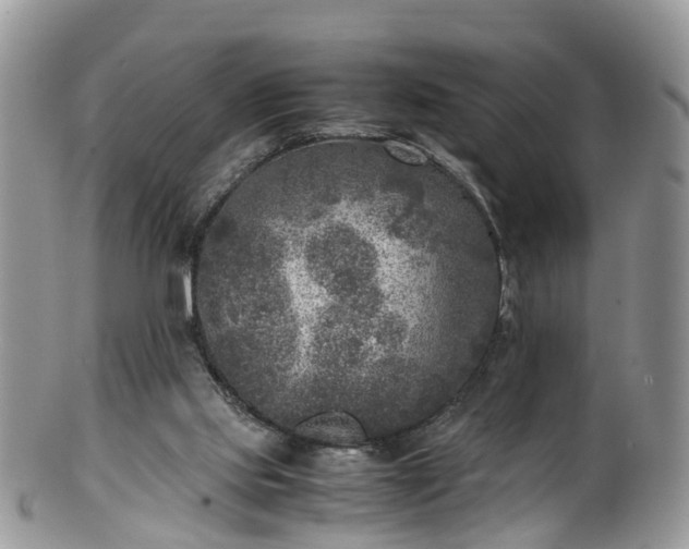 X0000100420061200806131108