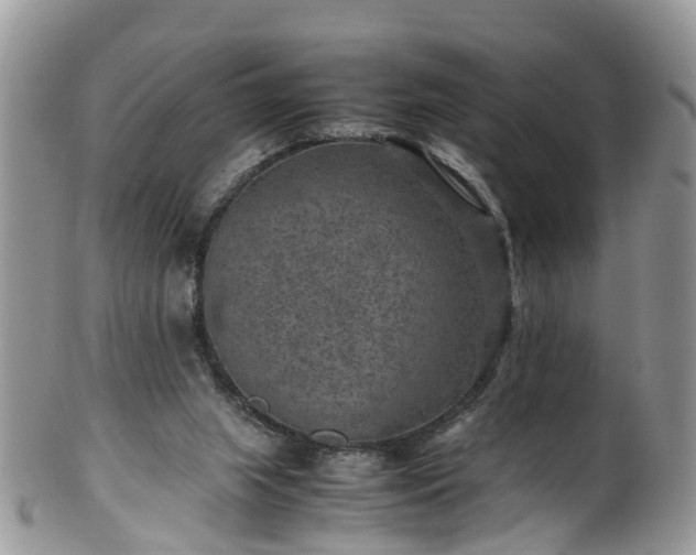 X0000100420063200806131108