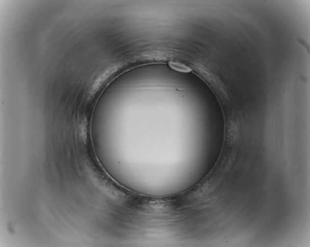 X0000100420064200806131108