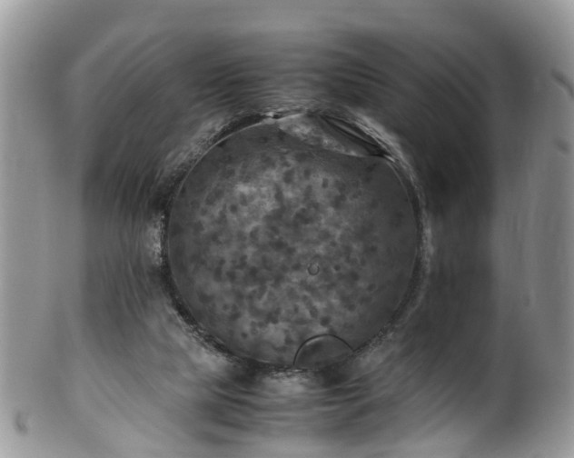 X0000100420065200806131108