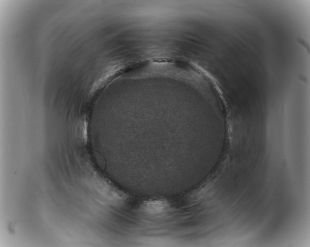 X0000100420067200806131108