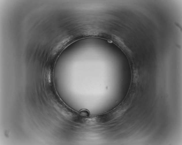 X0000100420068200806131108
