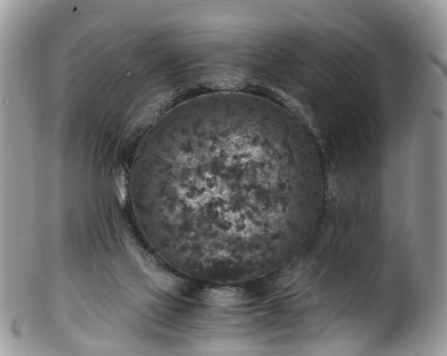 X0000100420069200806131108