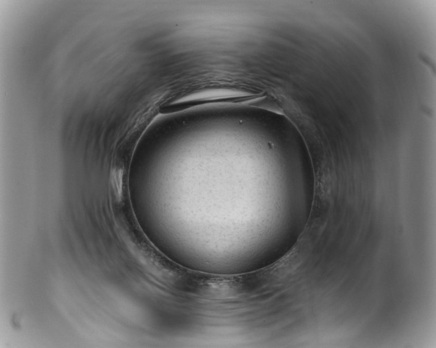 X0000100420070200806131108