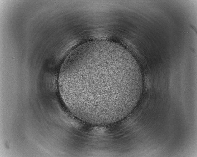 X0000100420071200806131108