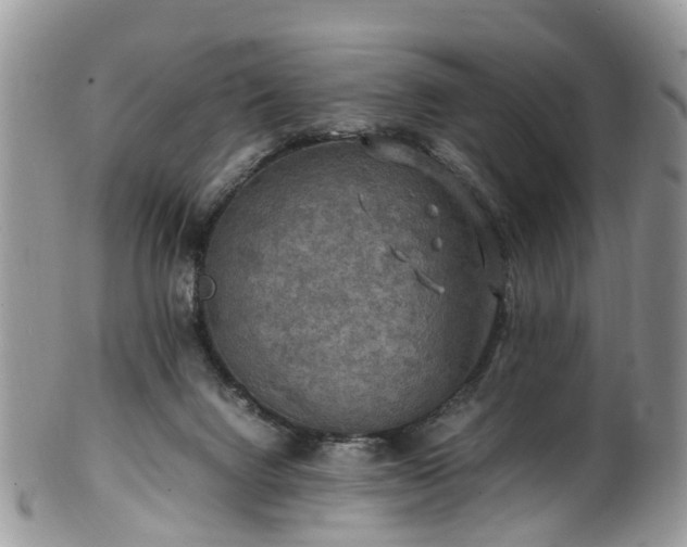 X0000100420072200806131108
