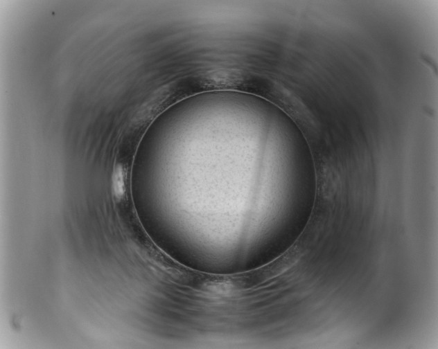 X0000100420075200806131108