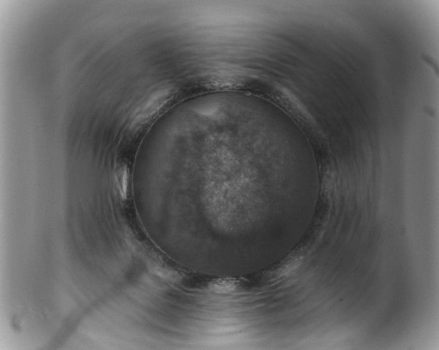 X0000100420076200806131108