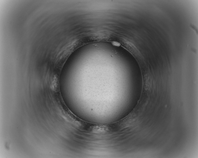 X0000100420077200806131108