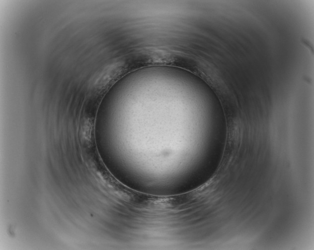 X0000100420078200806131108